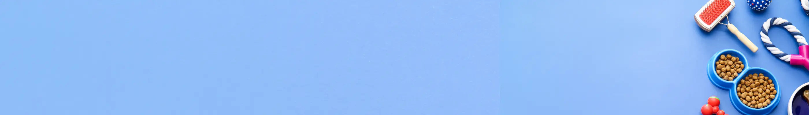 Dog-Accessories Petszapp