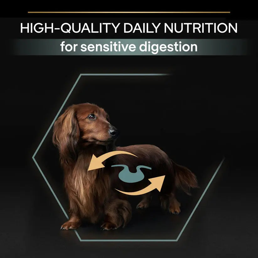 PURINA® PRO PLAN® DOG SMALL & MINI ADULT SENSITIVE DIGESTION WITH OPTIDIGEST® RICH IN LAMB PetFit.ae
