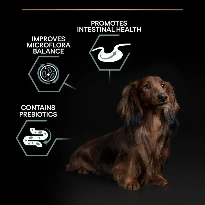 PURINA® PRO PLAN® DOG SMALL & MINI ADULT SENSITIVE DIGESTION WITH OPTIDIGEST® RICH IN LAMB PetFit.ae