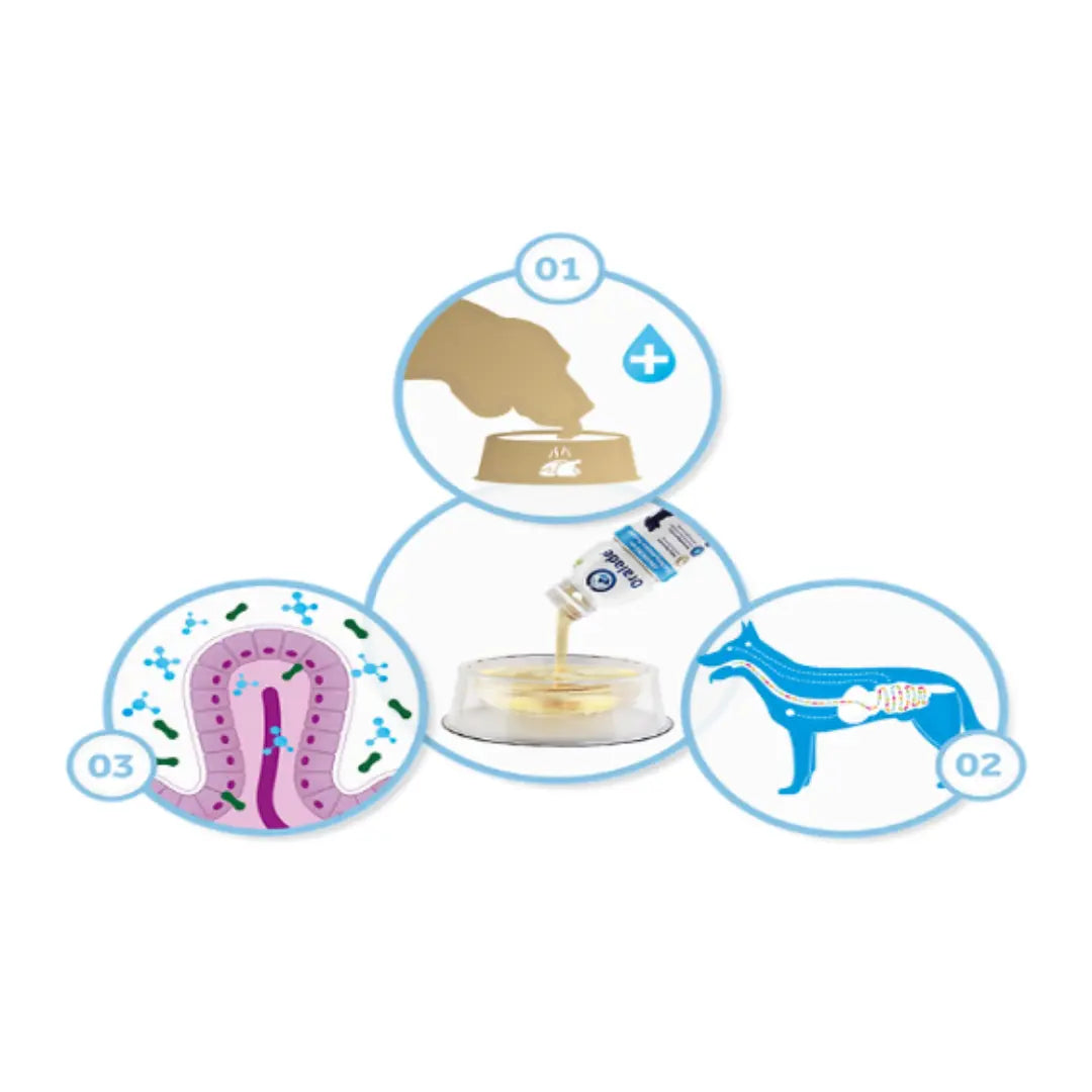 ORALADE ADVANCED GI+ | PET REHYDRATION SUPPORT 500 ml MAC