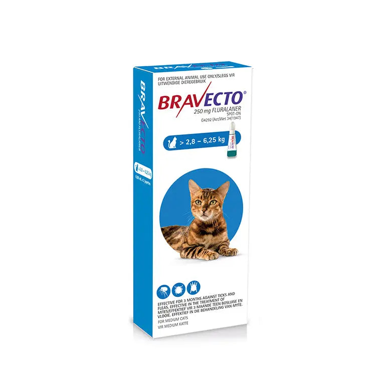 BRAVECTO CAT SPOT ON BRAVECTO