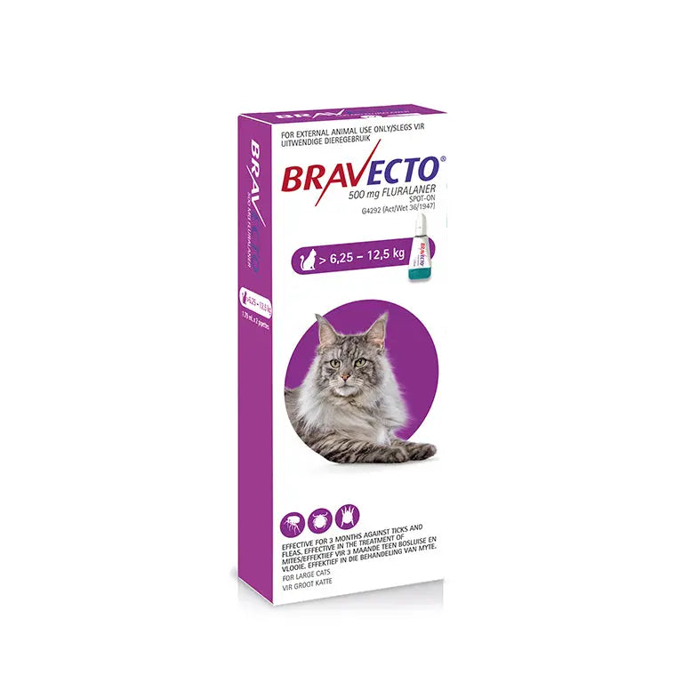 BRAVECTO CAT SPOT ON BRAVECTO