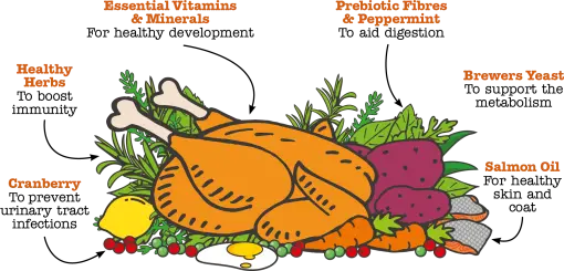 LITTLE BIGPAW BRITISH CHICKEN DRY KITTEN FOOD 1.5KG LITTLE BIGPAW