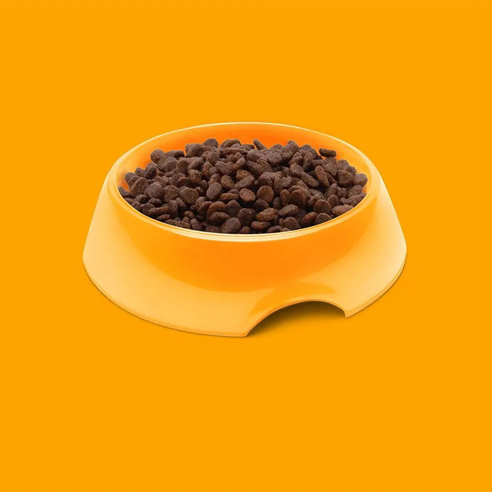 SYMPLY FRESH CHICKEN ALL LIFESTAGES DRY CAT FOOD SYMPLY