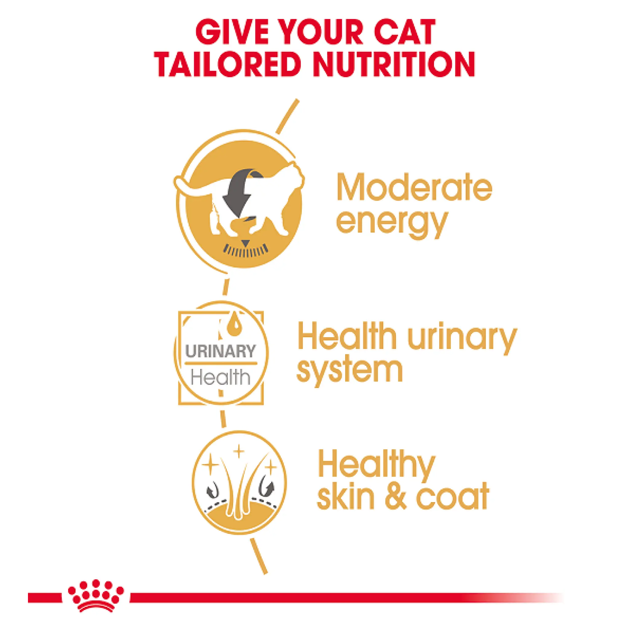 Royal Canin Feline Breed Nutrition British Shorthair  85 g Royal Canin