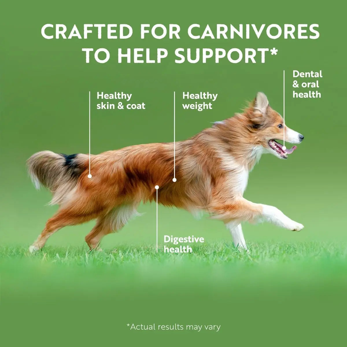 ZIWI PEAK AIR-DRIED TRIPE & LAMB RECIPE DRY DOG FOOD ZIWI PEAK