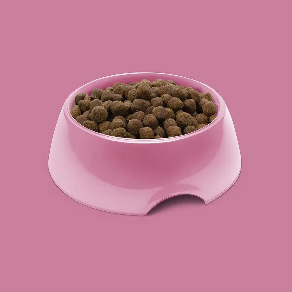 SYMPLY FRESH TURKEY ALL ADULT BREEDS DRY DOG FOOD SYMPLY