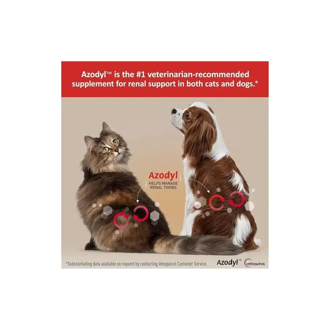 Azodyl Small Capsules Vetoquinol