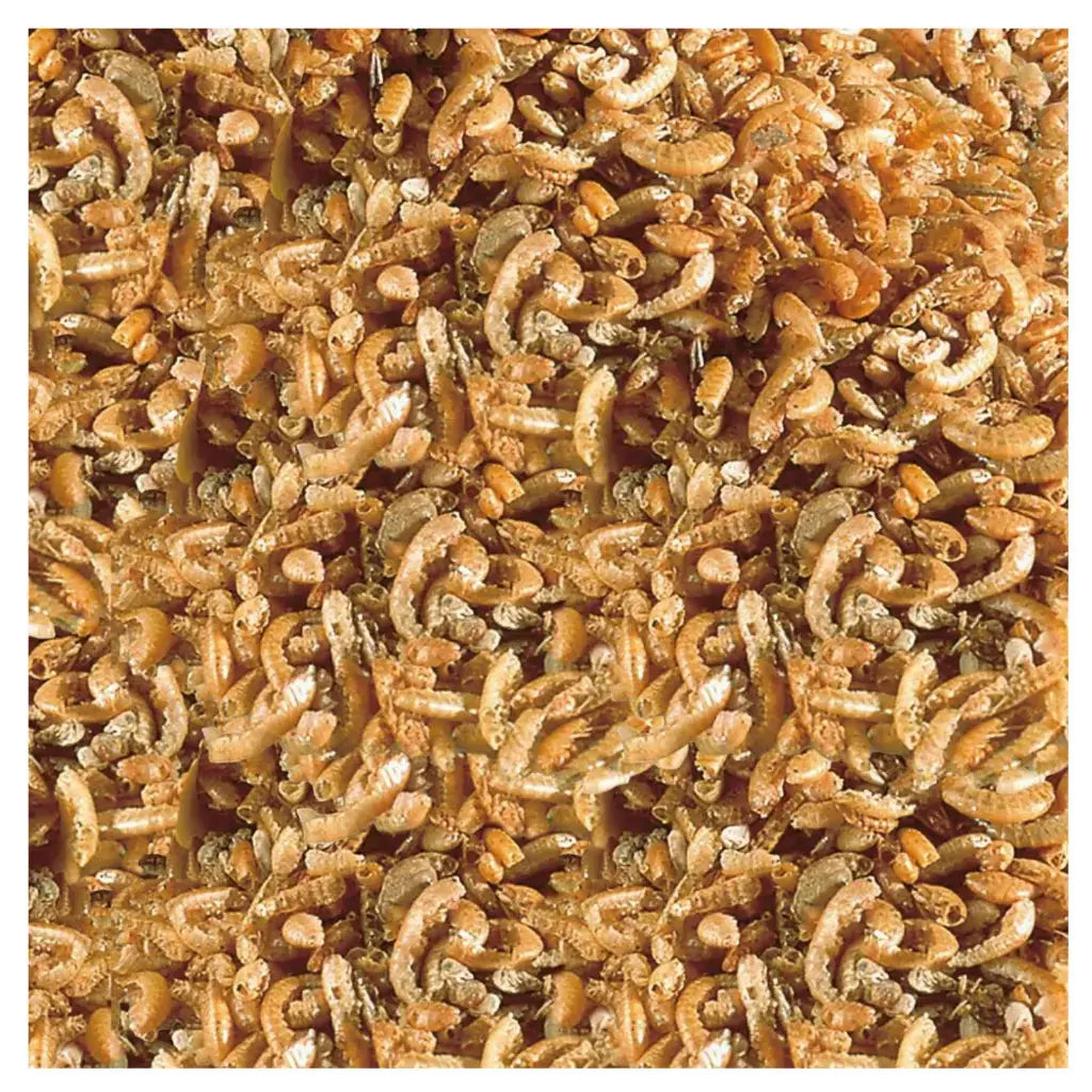 SERA TURTLE FOOD-RAFFY - I NATURE SERA