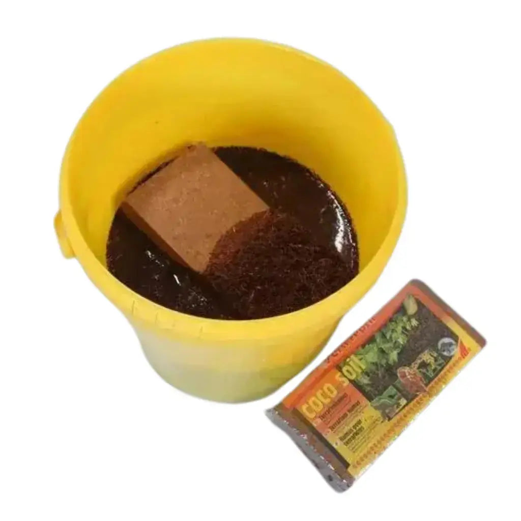 SERA REPTILE COCO SOIL 650G/8L Sera
