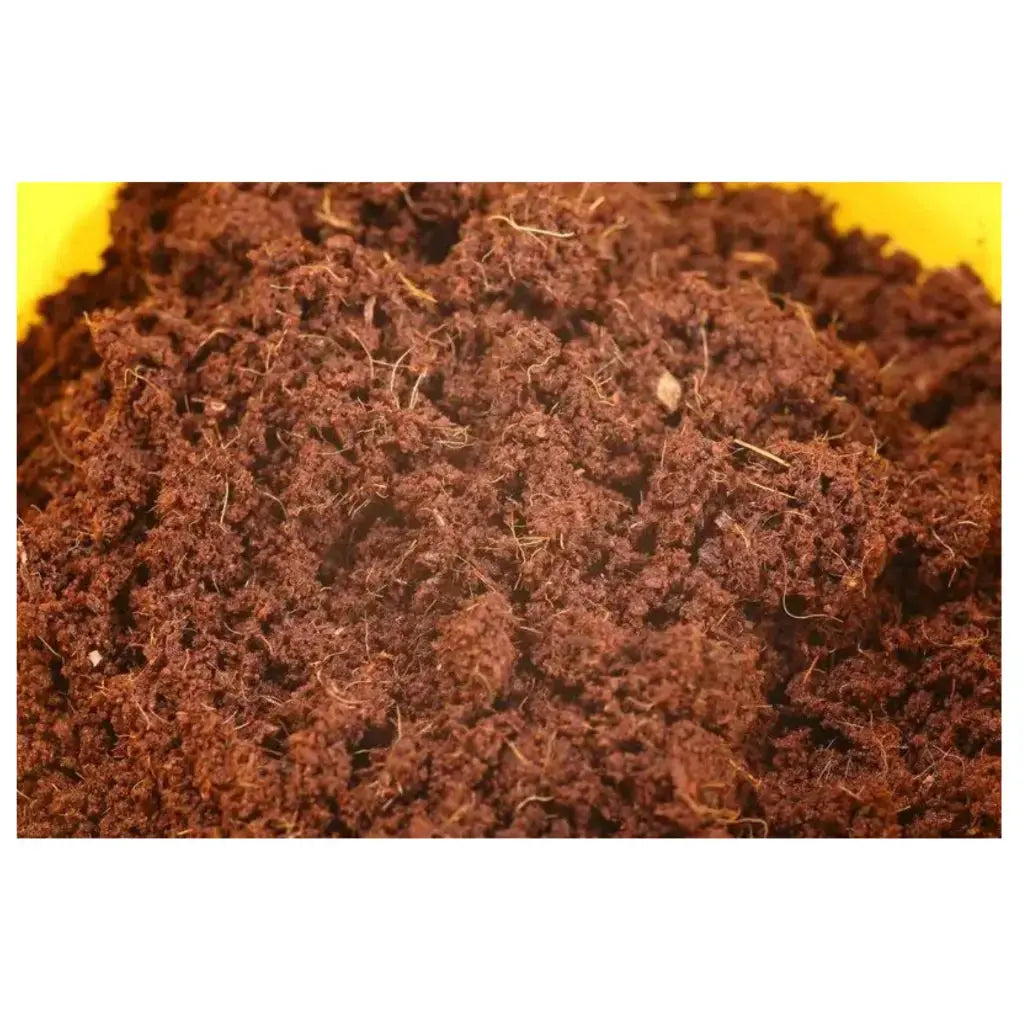 SERA REPTILE COCO SOIL 650G/8L Sera