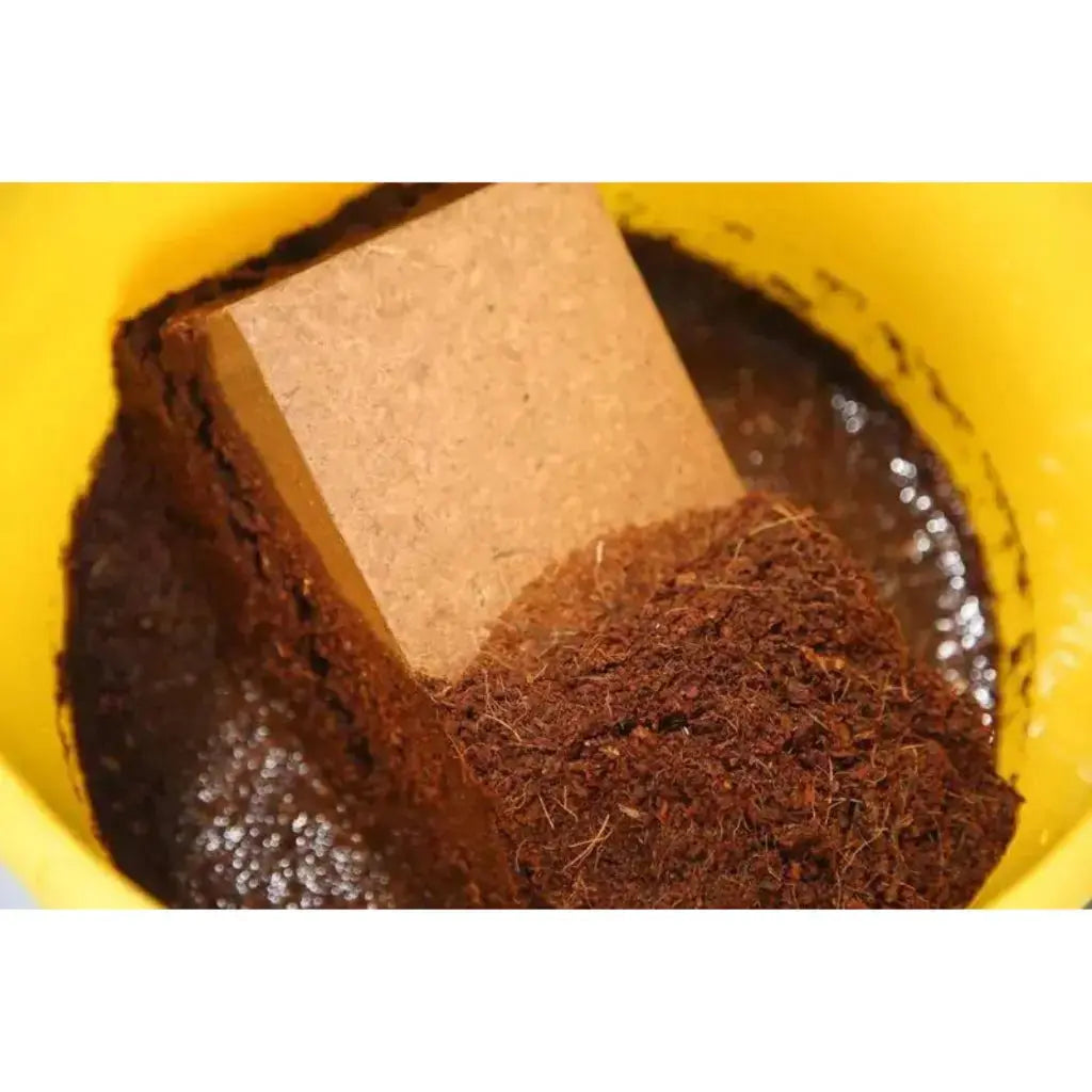 SERA REPTILE COCO SOIL 650G/8L Sera