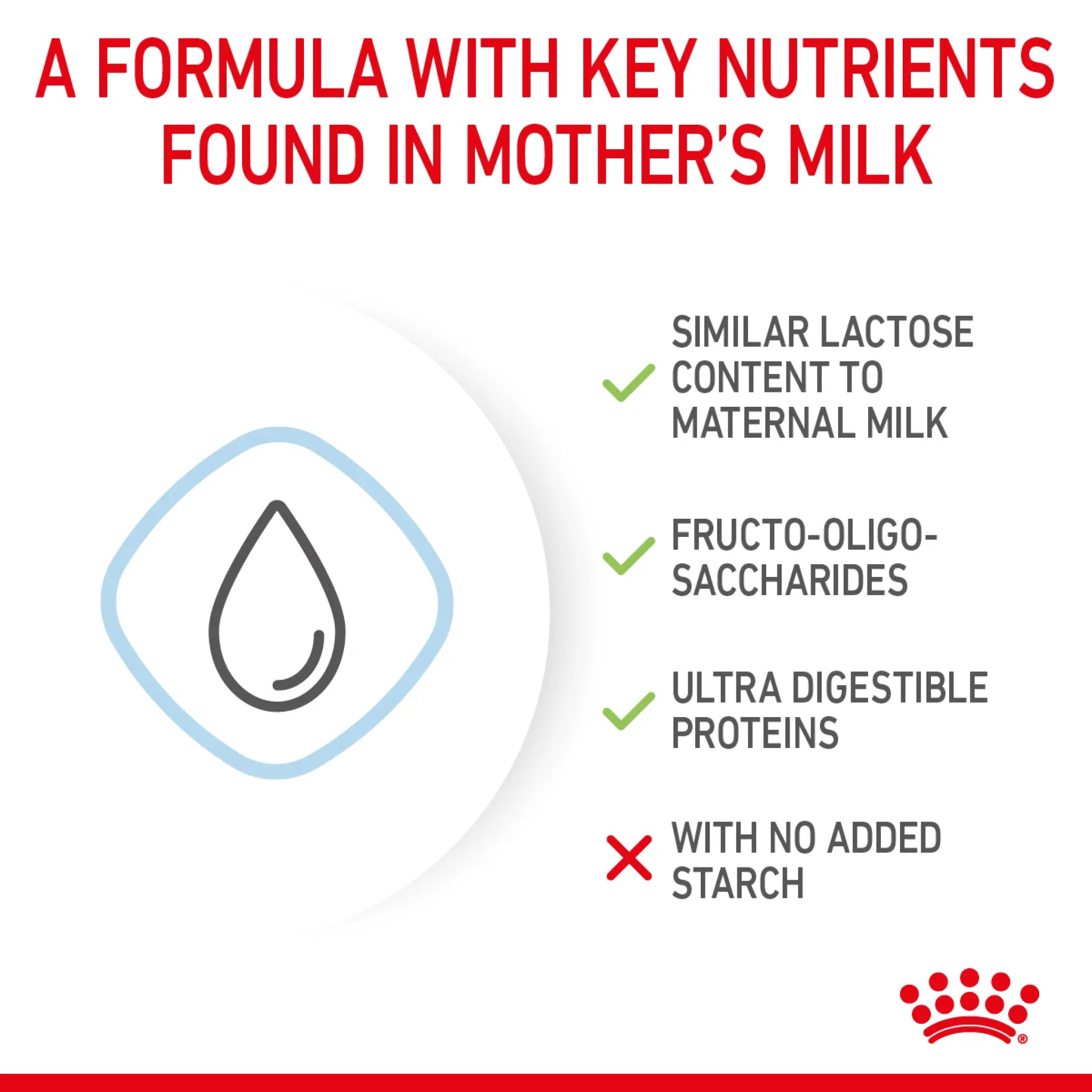 Size Health Nutrition Babydog Milk 400 g Royal Canin