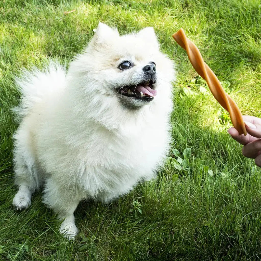 DUVO+ GARDEN BITES FRUITY DENTAL SWIRLS Duvo+