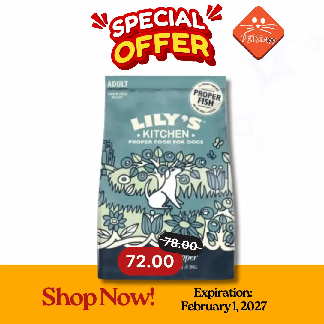 LILY'S KITCHEN SALMON SUPPER ADULT DOG DRY FOOD 1kg LILY'S KITCHEN
