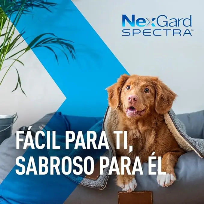 NEXGARD SPECTRA 3 CHEW TABLETS FOR DOGS 7.6 - 15KG Boehringer Ingelheim