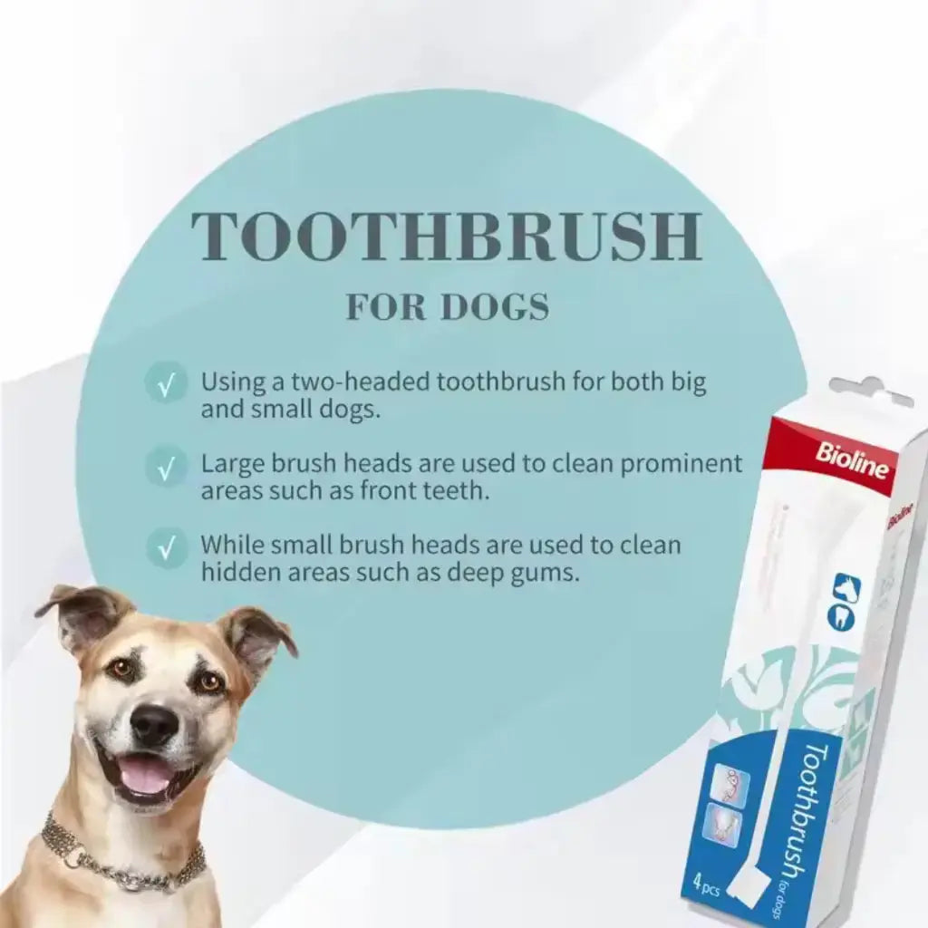 Bioline Toothbrush for Dogs Set 4pcs Bioline