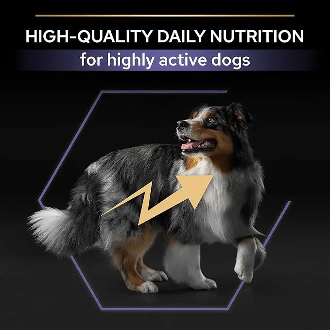 PURINA PRO PLAN PERFORMANCE ADULT ALL SIZES CHICKEN 18KG Purina Pro Plan