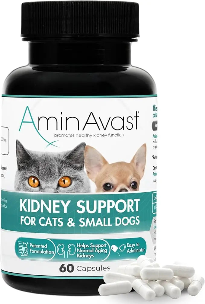 AMINVAST DOG KIDNEY SUPPLEMENT SUPPORTS 60CAPSULES AMINVAST