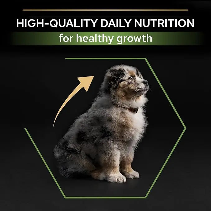 PURINA® PRO PLAN® MEDIUM PUPPY WITH OPTISTART® RICH IN CHICKEN DRY FOOD PetFit.ae