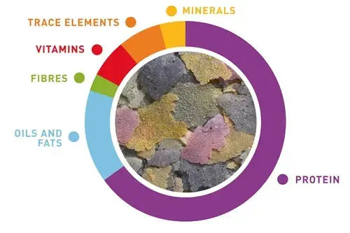 PADOVAN AQUA GOLD FISH FOOD Padovan