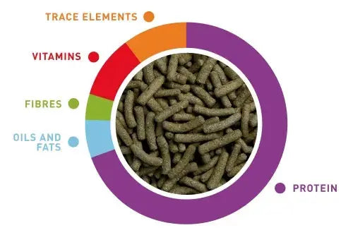 PADOVAN TURTLE STICKS 70G Padovan