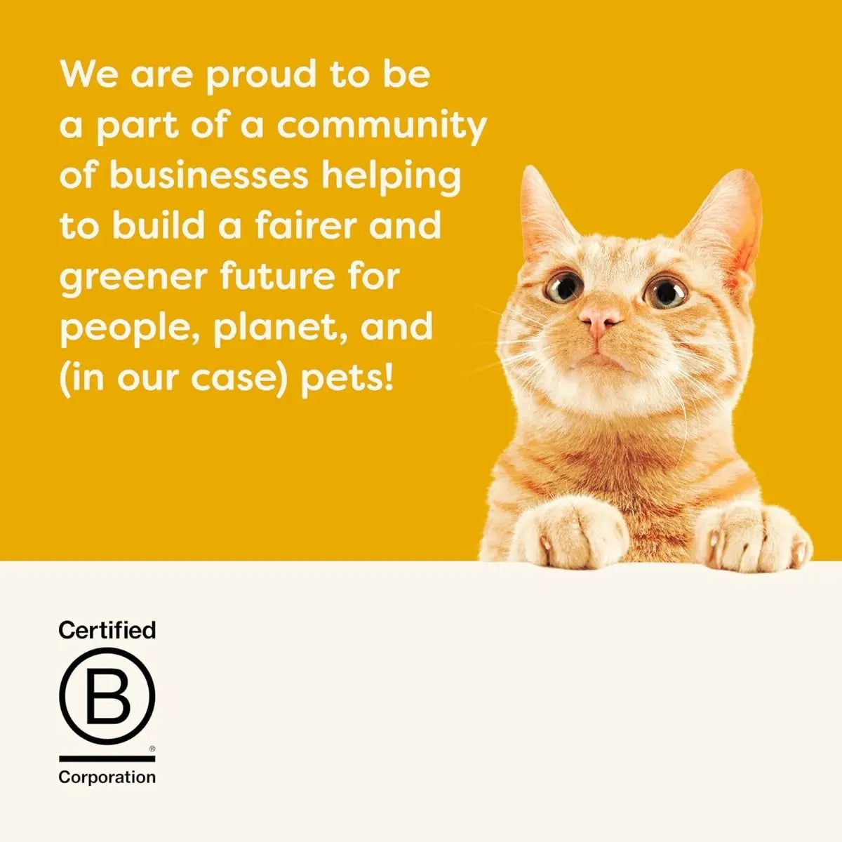 APPLAWS IN JELLY POUCH ADULT WET CAT FOOD 70G APPLAWS