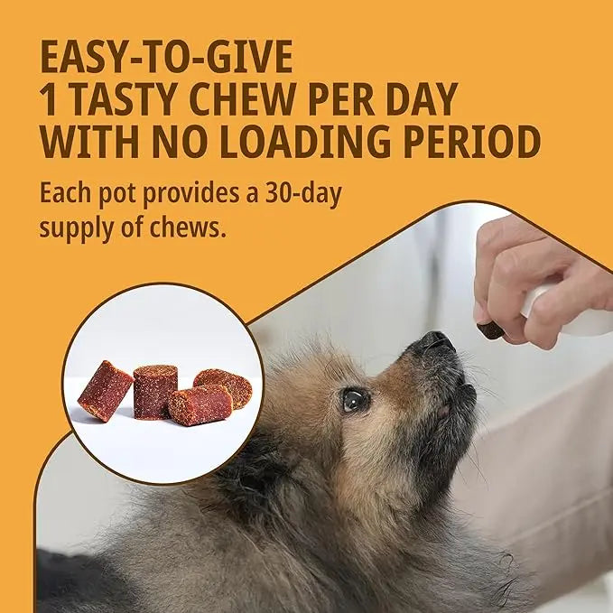 VIRBAC MOVOFLEX SOFT CHEWS FOR SMALL DOGS VIRBAC