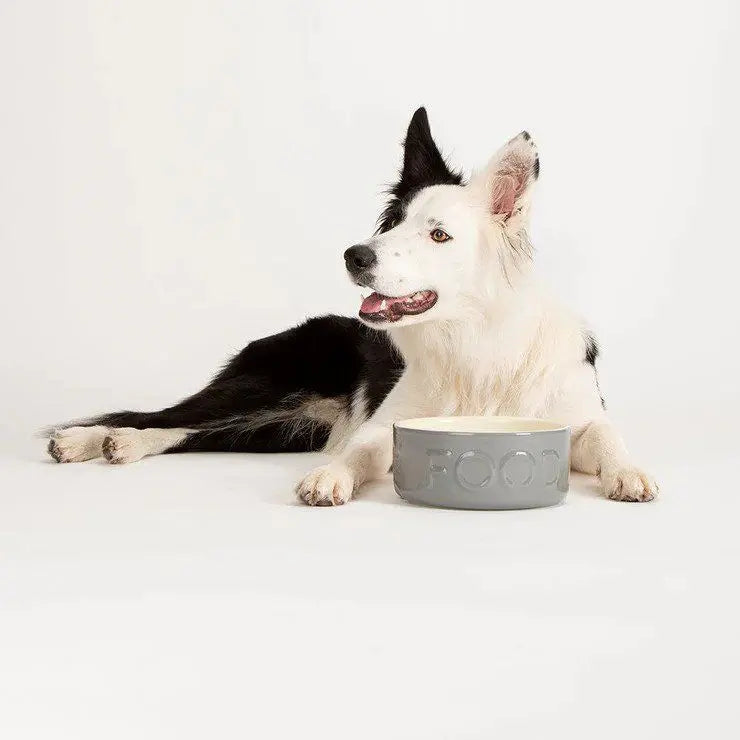 SCRUFFS CLASSIC FOOD DOG BOWL SCRUFFS