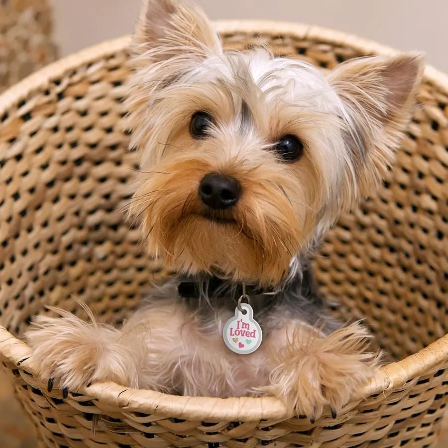 ID TAG CIRCLE SMALL RAISED EDGE I'M LOVED The Hillman