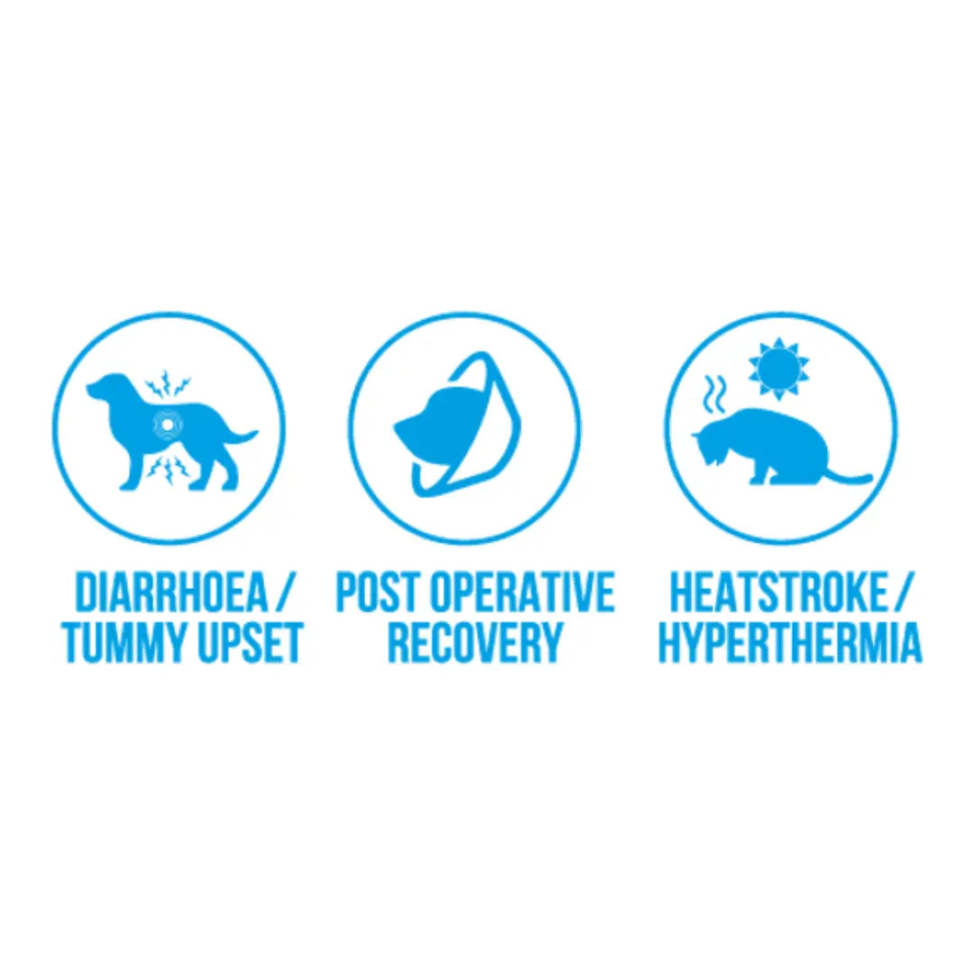 ORALADE ADVANCED GI+ | PET REHYDRATION SUPPORT 500 ml MAC