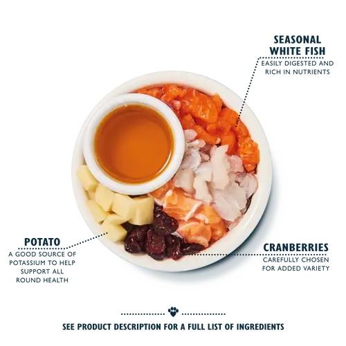 LILY'S KITCHEN FISHERMAN'S FEAST WHITE FISH & SALMON DRY CAT FOOD LILY'S KITCHEN