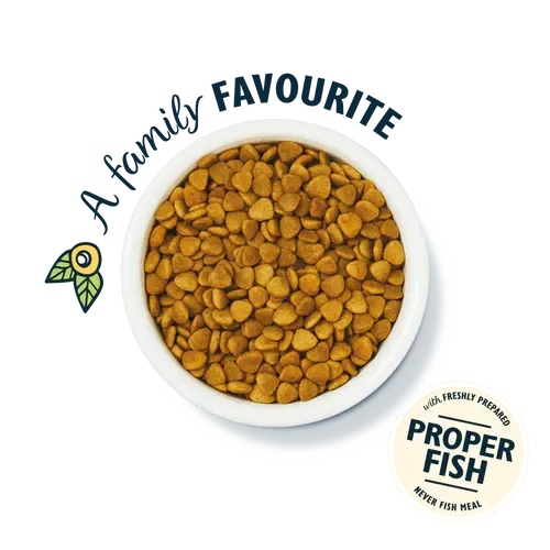 LILY'S KITCHEN FISHERMAN'S FEAST WHITE FISH & SALMON DRY CAT FOOD LILY'S KITCHEN