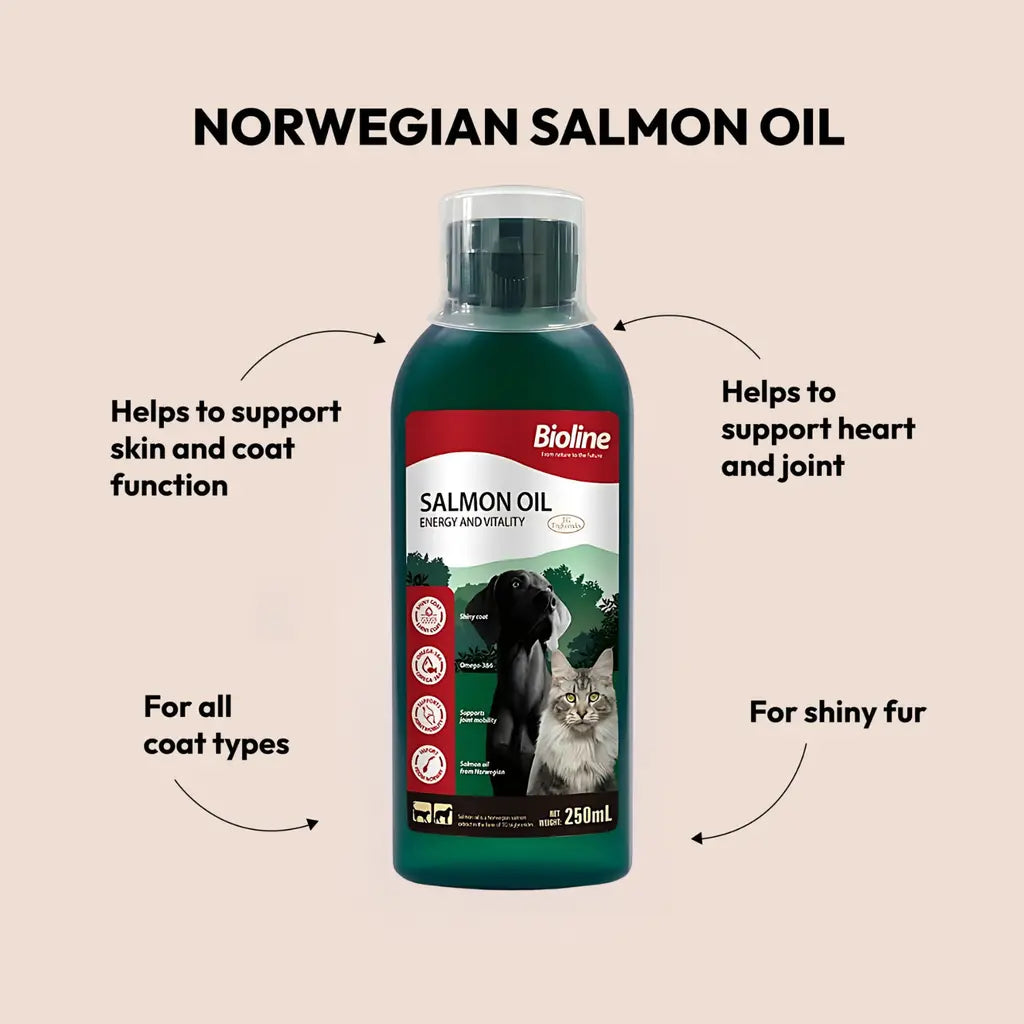 BIOLINE NORWEGIAN SALMON OIL 250ML Bioline