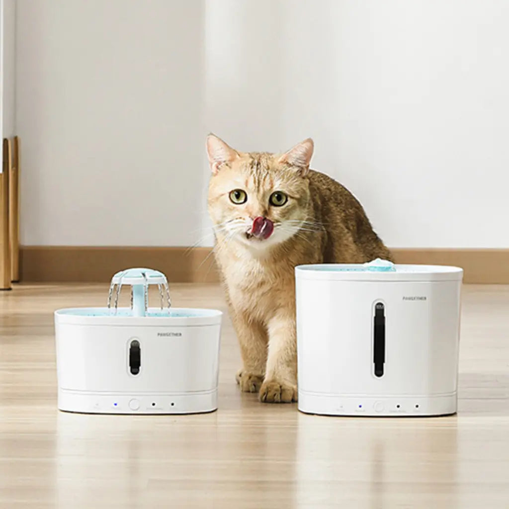 PAWGETHER SMART PET WATER FEEDER/FOUNTAIN - DRIP 1 PAWGETHER