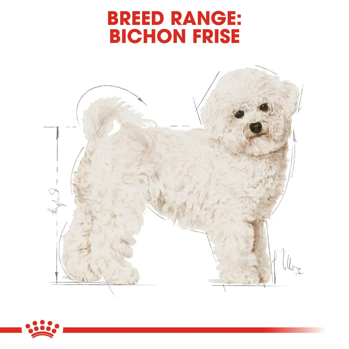 ROYAL CANIN BREED HEALTH NUTRITION BICHON FRISE ADULT 1.5 KG Royal Canin