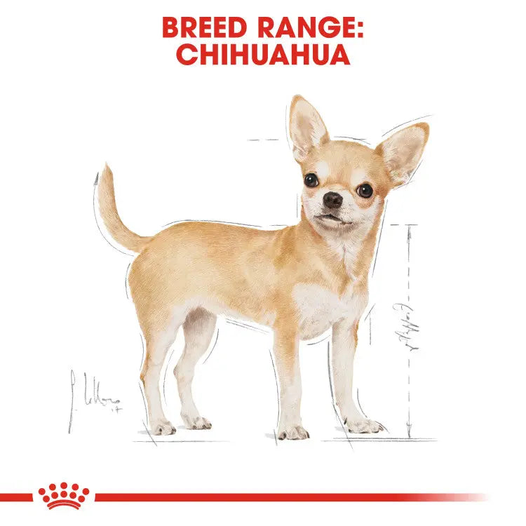 ROYAL CANIN BREED HEALTH NUTRITION CHIHUAHUA ADULT WET FOOD POUCH, 85G Royal Canin