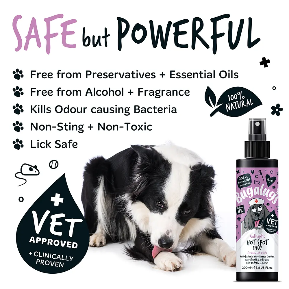 Bugalugs Antiseptic Hot Spot Spray 200ml (6.8 Fl Oz) Petszapp