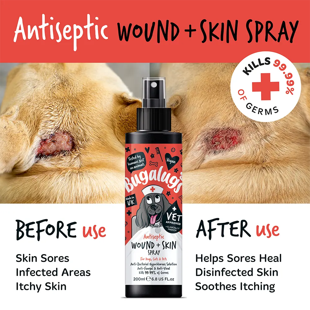 Bugalugs Antiseptic Wound & Skin Spray 200ml (6.8 Fl Oz) Petszapp