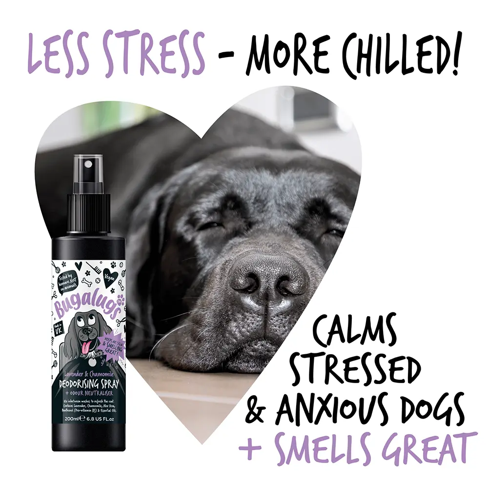 Bugalugs Lavender & Chamomile Deodorising Spray 200ml (6.8 Fl Oz) Petszapp