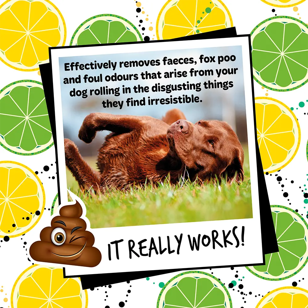 BUGALUGS STINKY DOG SHAMPOO 500ML BUGALUGS