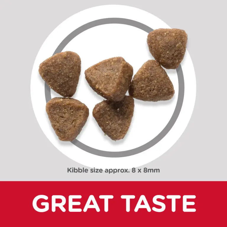 HILL'S SCIENCE PLAN KITTEN DRY FOOD Hills