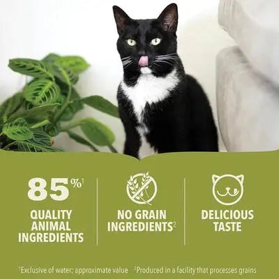 ACANA PREMIUM PATE CAT WET FOOD 85G ACANA