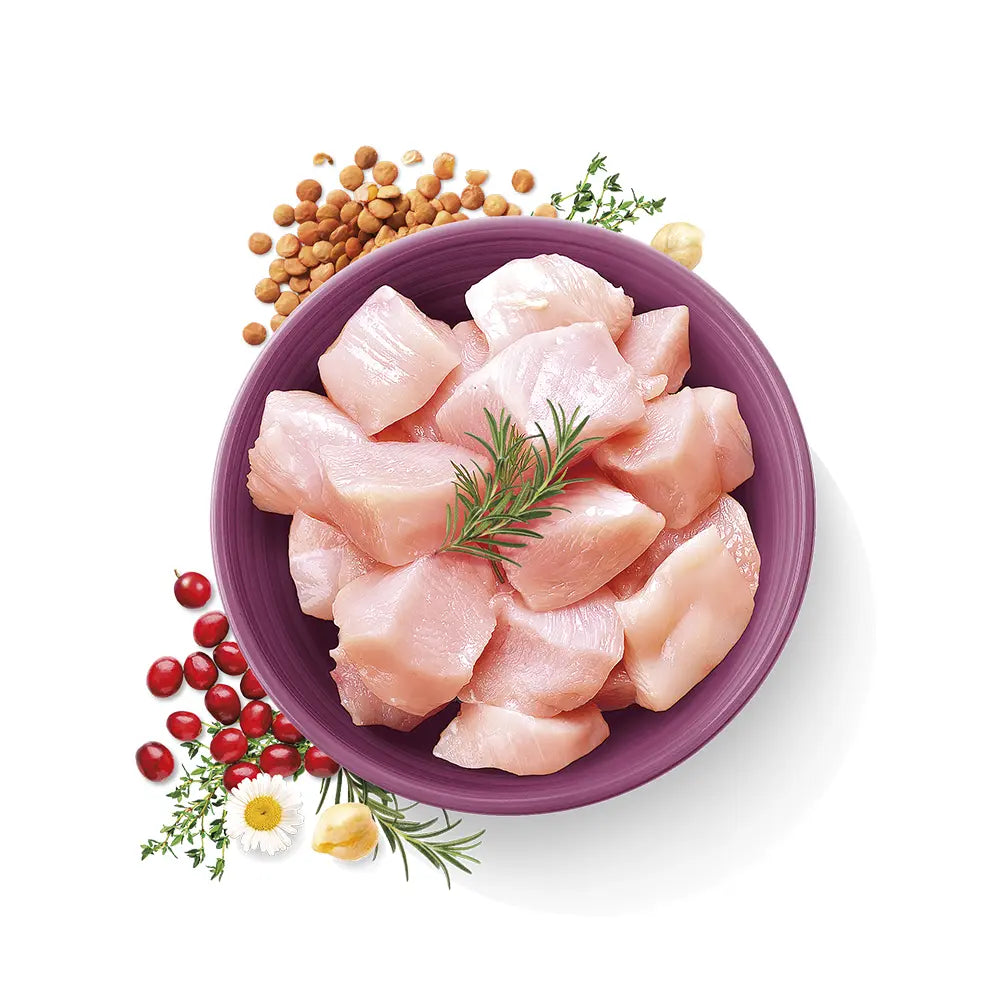 CARNILOVE TRUE FRESH FOR ADULT CATS Carnilove