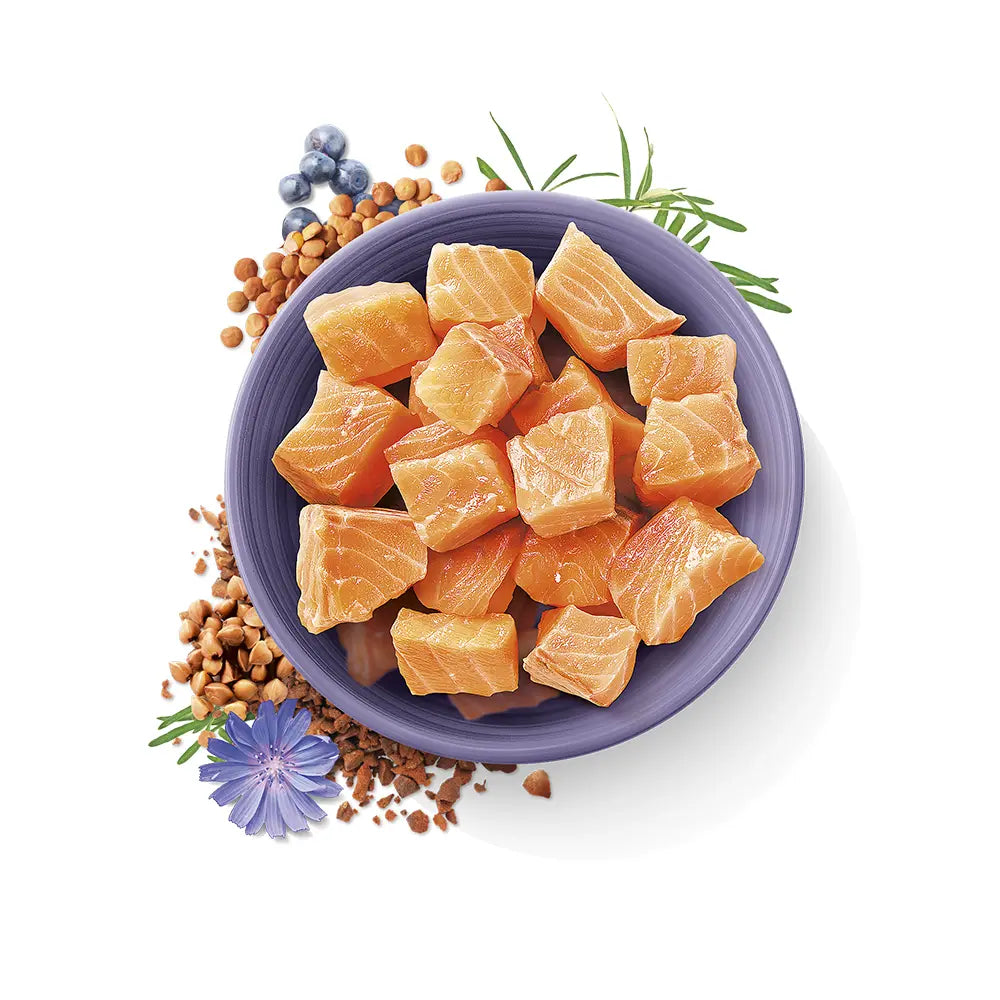 CARNILOVE TRUE FRESH FOR ADULT CATS Carnilove