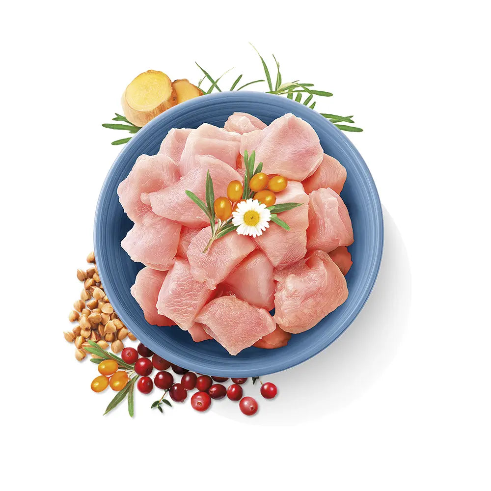 CARNILOVE TRUE FRESH FOR ADULT CATS Carnilove