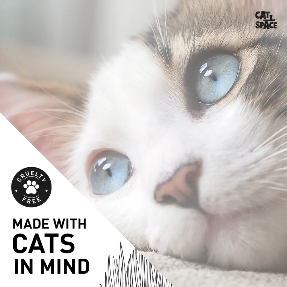 CAT SPACE CATNIP HERBAL CAT SHAMPOO 300ML CAT SPACE