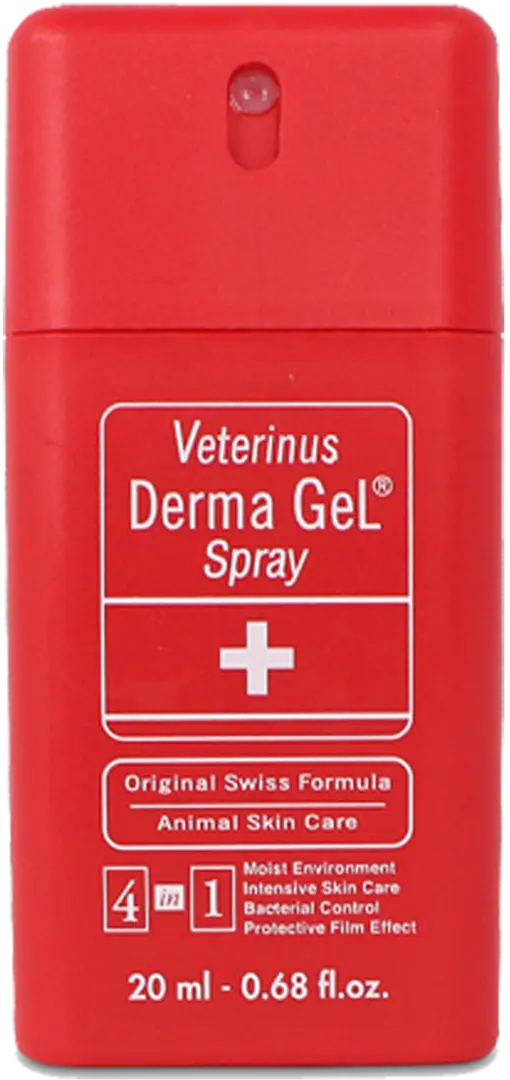 DERMA GEL SPRAY Derma Gel