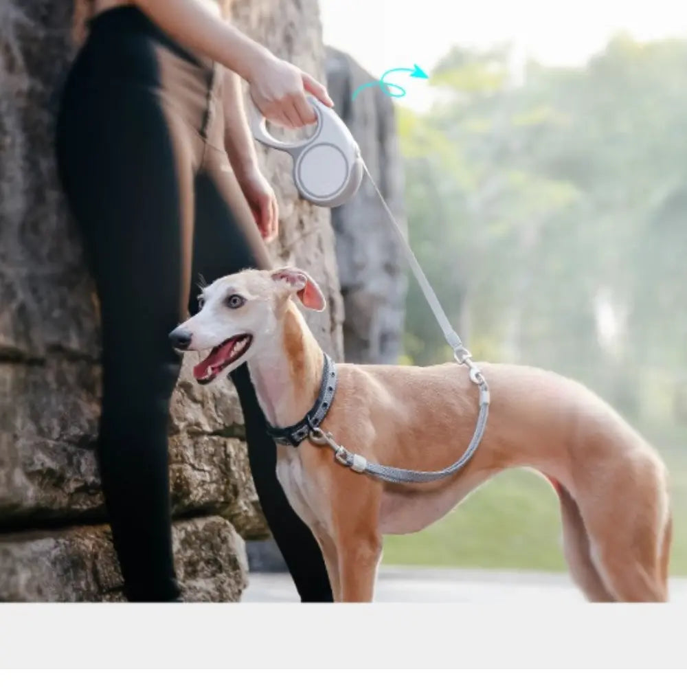 DOGNESS RECTRACTABLE LEASH-LIBERTY SERIES 5M Dogness