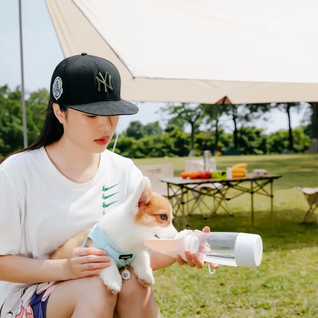 DOGNESS WATER BOTTLE WITH FOOD STORAGE Dogness